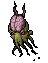 Brain Squid